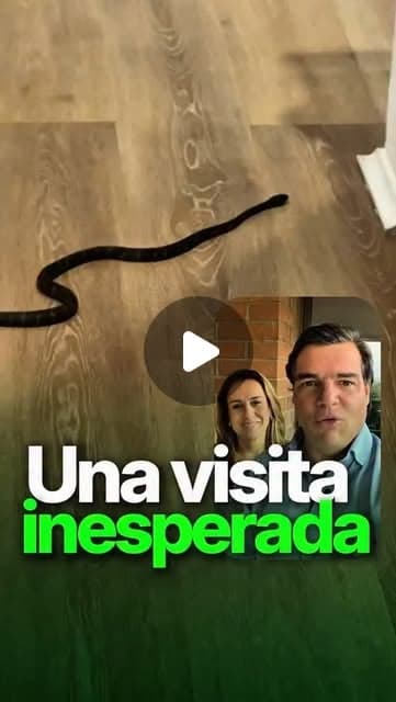 Una culebra sobre un piso de madera y, abajo, Alejandro Arbeláez A. y Lina Cuartas; texto «Una visita inesperada»